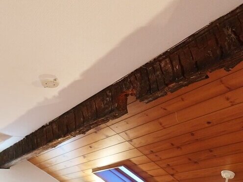天井の梁部分の壁紙をめくってみたところ、木材が腐ってボロボロでした